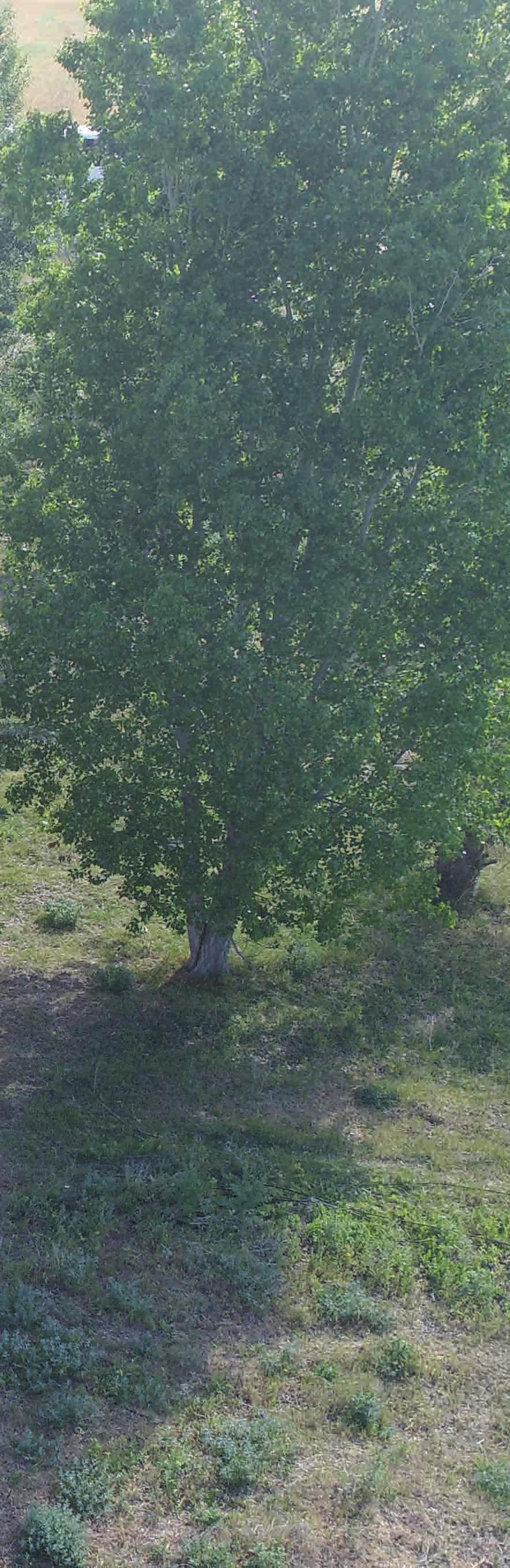 oι άνθρωποί μας Προτεραιότητά μας η διατήρηση ενός
