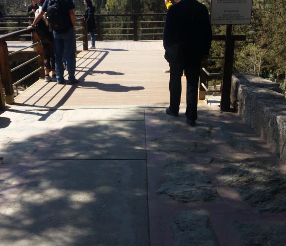 Η πρόσβαση φτάνει μέχρι την κεντρική αυλή του Ανακτόρου. Έχει αναπηρική τουαλέτα. Πρέπει να ζητηθεί το κλειδί από τον αρμόδιο υπάλληλο. Έχει χώρο για πάρκινγκ ΑμεΑ.