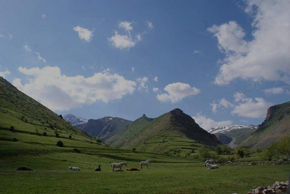 Ministria e Mjedisit dhe