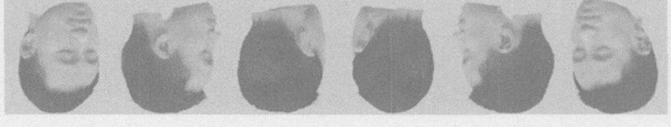 u,) 4 AB, 5 CD, A C BD, 4 c 6 3
