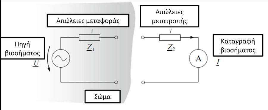 α) β) Σχήμα 3.2.1. Ηλεκτρικό μοντέλο συμπεριφοράς βιοσήματος α)αυτόματου, β)προκαλούμενου από έξω 374. Στην περίπτωση ενός αυτόματα εμφανιζόμενου σήματος (σχήμα 1.