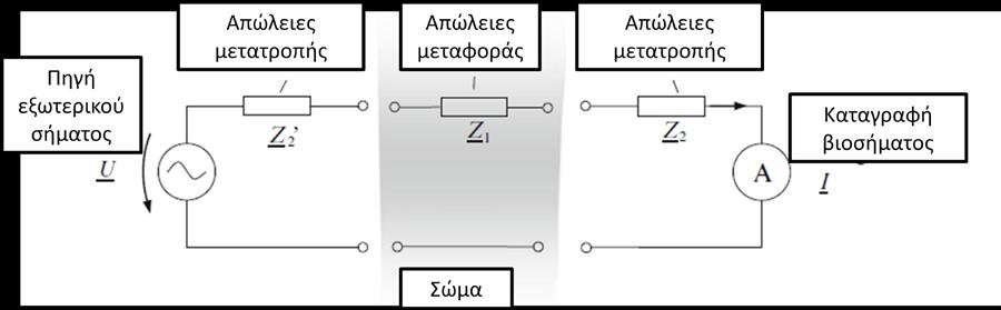 f όπου f η συχνότητα ταλάντωσης) και φ v η φάση η οποία ικανοποιεί τη συνθήκη v(t) =Ze[V.e jωt ].