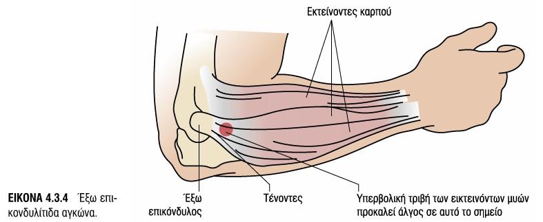 δικεφάλου 1η -3η/4η Συνεδρία=17B1-14Β6 5η-7η Συνεδρία= 17Α1-17Α4 8η-10η