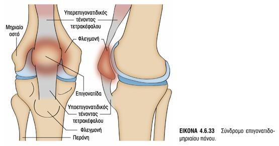 1η -3η/4η Συνεδρία=6Β1-688 (Ουραία κατεύθυνση εφαρμογών), 7Β1-7Β5 (Κεφαλική κατεύθυνση εφαρμογών), 8Β1-8Β3, 8Β5,8Β6