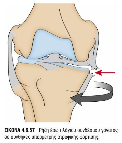 εφαρμογών),7α1-7α6 (Κεφαλική κατεύθυνση εφαρμογών), 8Α7 1η -3η/4η Συνεδρία=6Α1,6Α4,6Α5,10Β110Β4, 13Β1-13Β4 [(+cyriax