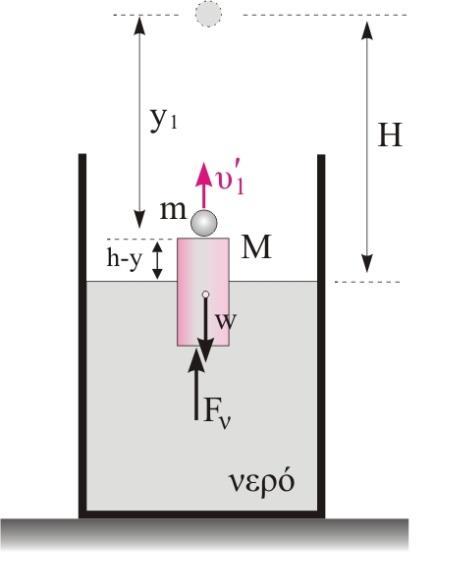 F F = p Α F = ρ g y y y 0, ρ g kg 4 0 0 00 (ρ ν = g/c = 000 kg/ ) Β) Η συνολική πίεση στην κάτω βάση του κυλίνδρου, στη θέση ισορροπίας του είναι ίση με το άθροισμα της ατμοσφαιρικής πίεσης και της