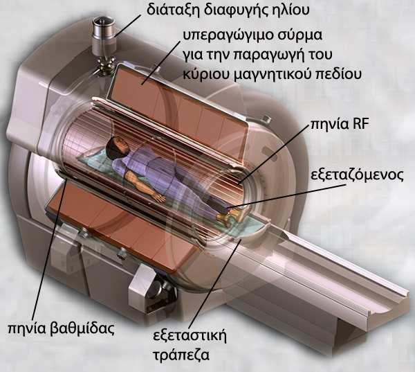 Επίσης δύνανται να καλύπτουν τις θέσεις υπευθύνων στελεχών που προβλέπονται από τη νομοθεσία που ισχύει κάθε φορά για τη λειτουργία των μονάδων που χρησιμοποιούν ή παράγουν ιατροτεχνολογικά προϊόντα