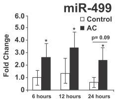 adults treated with anthracycline