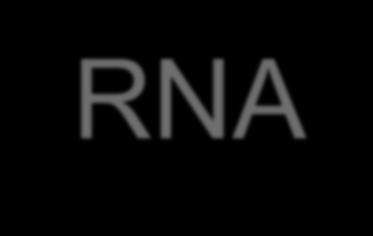 Τα μικροrna σε μοριακό επίπεδο sometimes