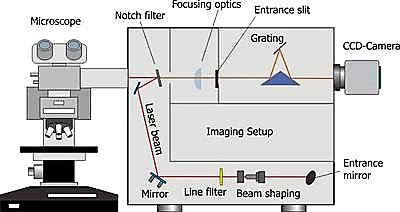 Σχήμα 2.12: Σχηματική αναπαράσταση της εστίασης της δέσμης του laser στο δείγμα και της ανάλυσής της στο φασματόμετρο Raman.