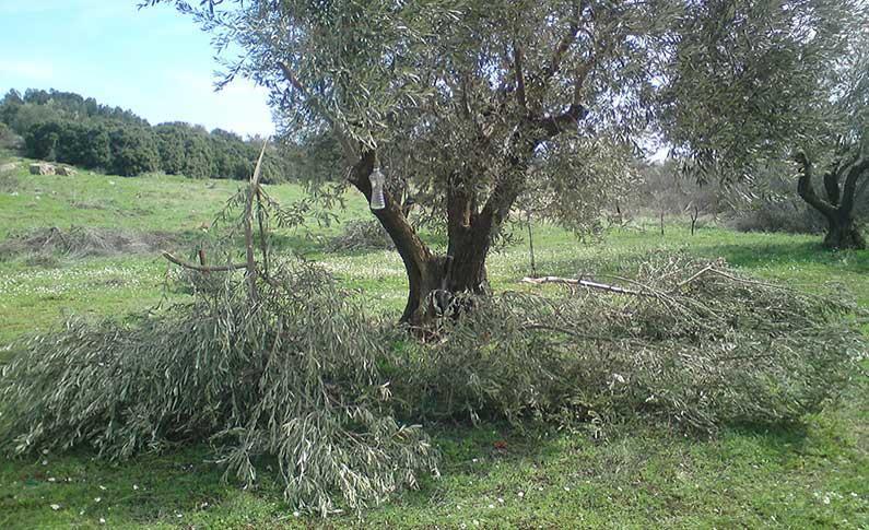 Υλικά κατάλληλα για