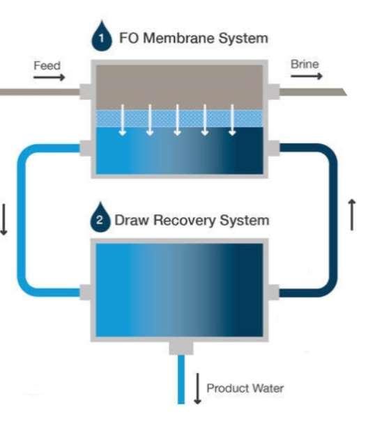 Forward Osmosis (FO): εμπρόσθια ώσμωση Κινητήρια δύναμη η ωσμωτική πίεση (Π), ελεγχόμενη κατευθυνόμενη φυσική ώσμωση, Δπ λόγω ΔC της διαλυμένης ουσίας μεταξύ δύο διαλυμάτων Διάχυση μορίων νερού