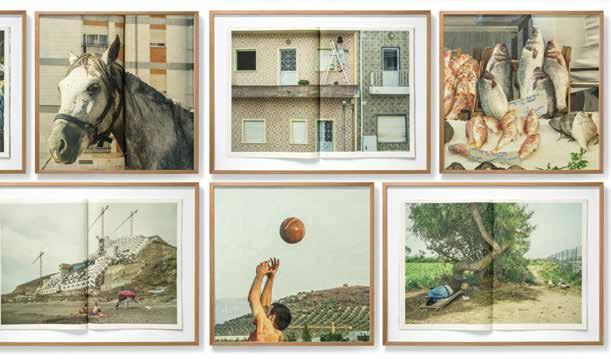 Carlos Spottorno 117 Carlos Spottorno, The Pigs, 2013. την ανάλυση όμως; Προσπάθησα να απεικονίσω τα στερεότυπα που καλλιεργεί ο όρος PIGS.
