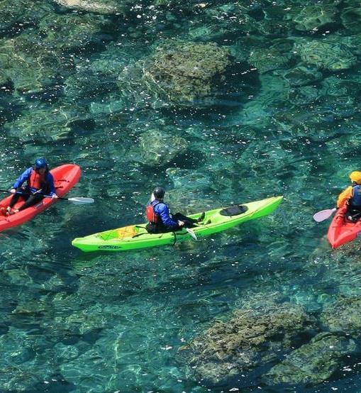 Οργάνωση της δραστηριότητας Διαδικασίες που ακολουθούνται από τον διοργανωτή. Οι συνοδοί να έχουν ήδη προετοιμάσει τον εξοπλισμό (καθαρά σκάφη, εξοπλισμός στο σκάφος).