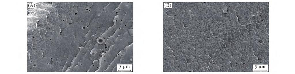 876 Vol 35 g-phmg 100 48 h PHMG PET PHMG 3 c PET-g-PHMG 1640 cm - 1 C N PHMG PET PHMG PET P P = 1 - m - m / m 15% 100% m Fig 3 FTIR spectra of PET / antibacterial