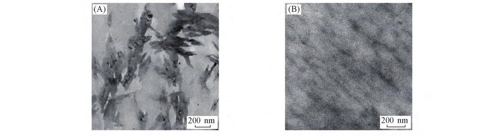 PHMG PET /PHMG PHMG PET PHMG PET 4 A 4 B PET-g-PHMG PHMG PET PHMG PET Fig 4 SEM images of fracture surface of PET /PHMG A and antibacterial PET with 1%PHMG B PHMG PET