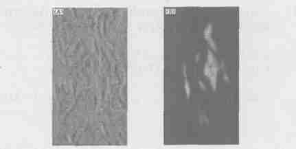 Dong2Y ing, ZHAO L i2j ian Chem. J. Ch inese U niv.
