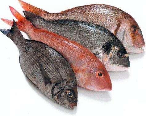 ψάρια: ιϊδιο, ω-3 λιπαρά) Συςτινεται θ κατανάλωςθ ψαριϊν 2-3