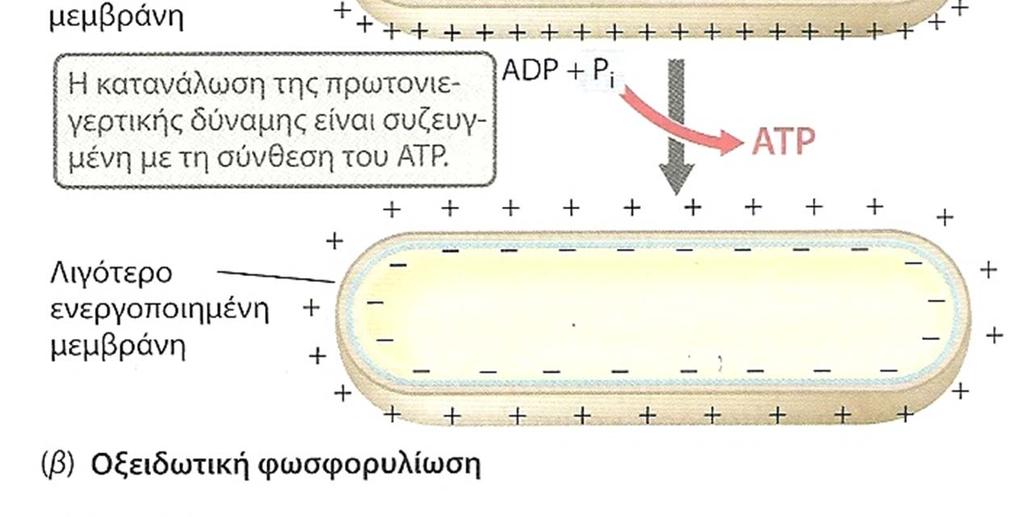 και στην αναπνοή.
