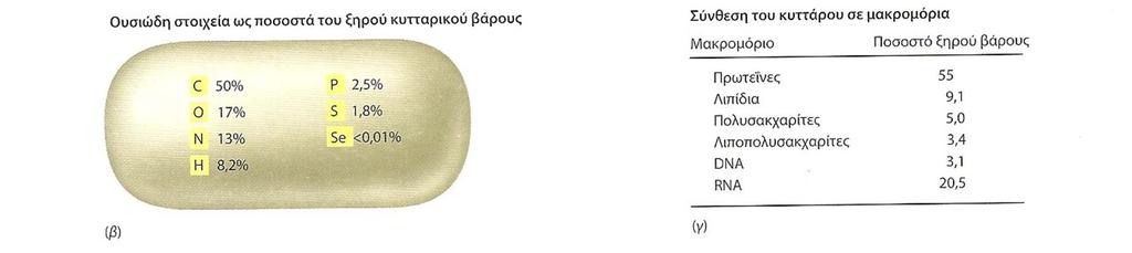 μακρομόρια. (α) Ο μικροβιακός περιοδικός πίνακας των στοιχείων.