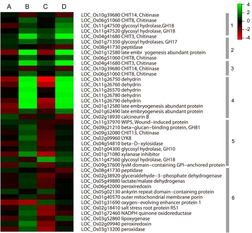 Supplementary Figure S3 Diverse expression patterns of genes responding to biotic or abiotic stress in the M. and H. oryzae-challenged roots.