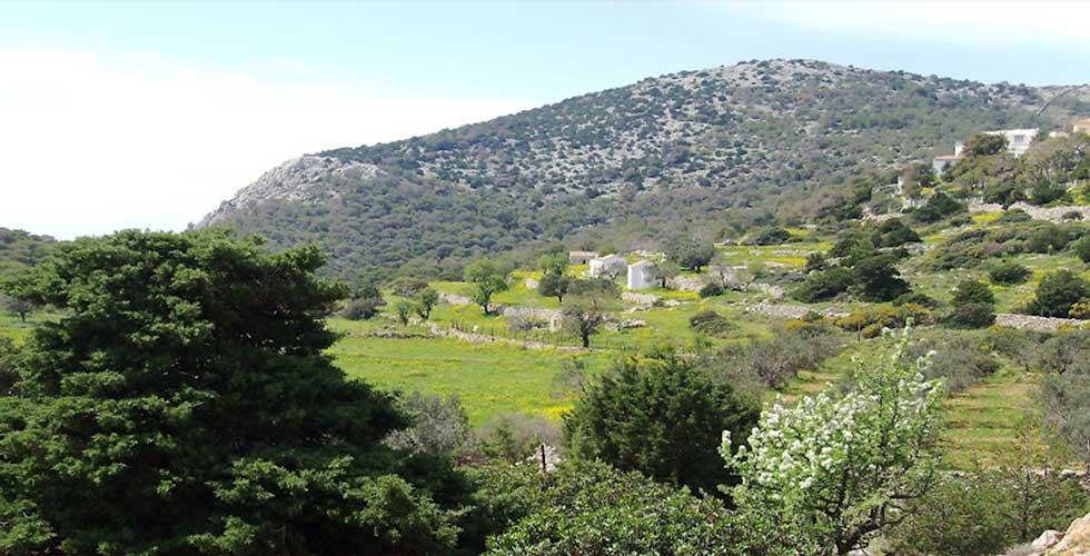 από τις ομορφότερες παραλίες του νησιού (Ύδρα - Επισκοπή: 1