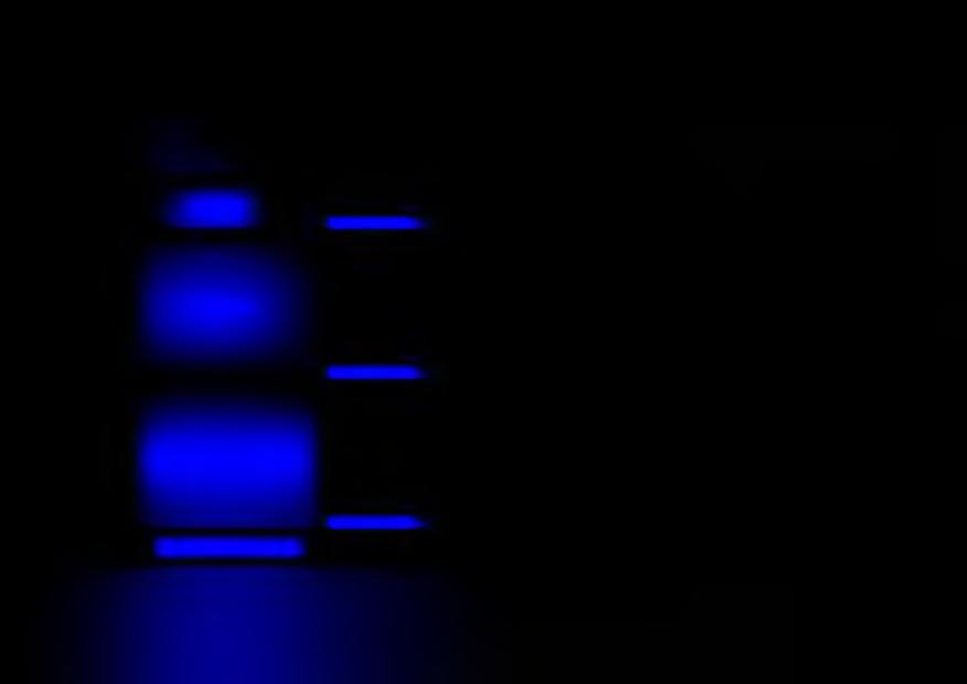 (- (- ΣΕΡΡΩΝ 140 1,15 161 6,44 129 5,15 193 7,73 Γ03 Ρ ε β ίθ ια ΦΘΙΩΤΙΔΟΣ 130 1,31 170 6,81 136 5,45 204 8,17 ΛΟΙΠΟΙ ΝΟΜΟΙ 130 1,14 148 5,93 119 4,74 178 7,11 ΓΡΕΒΕΝΩΝ 120 1,16 139 5,57 111 4,45 167