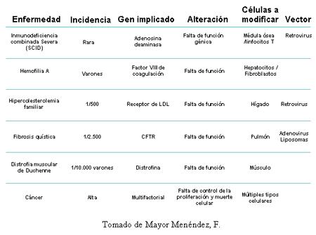 ALGÚNS DOS TRATAMENTOS