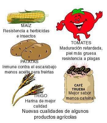 EN PLANTAS E ANIMAIS Que é un transxénico?