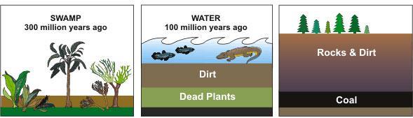 Ορυκτά καύσιμα Σχηματισμός Γαιάνθρακα Βάλτος 300*10 6 έτη πριν Νερό 100*10 6 έτη πριν Βράχοι και λάσπη Λάσπη Νεκρά φυτά Άνθρακας Πριν τους δεινόσαυρους πολλά
