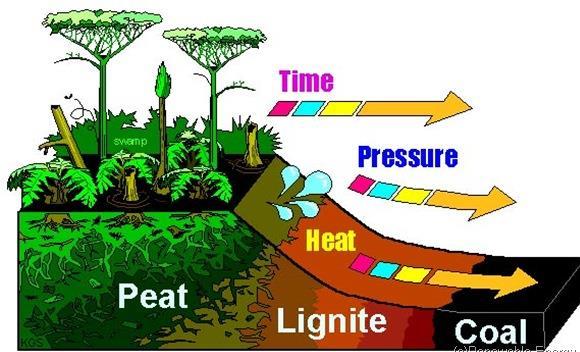 Ορυκτά καύσιμα Σχηματισμός λιγνίτη και