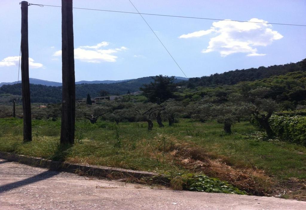 Το κομμάτι που είναι σε επίπεδο ίδιο με το υψόμετρο της Δημοτικής Οδού φιλοξενεί εργαλεία και υλικά του Δήμου, αλλά και χρησιμοποιείται