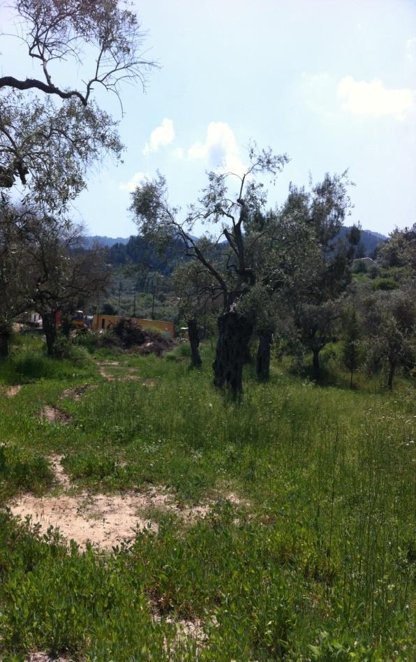 Εικόνα 4: Όψη από τον