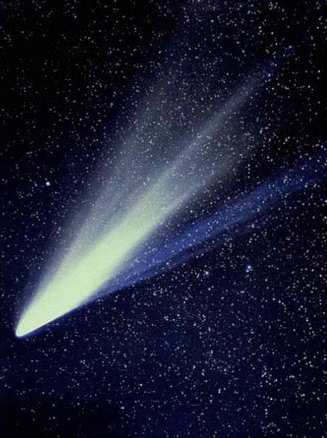 Fluorescence Profile