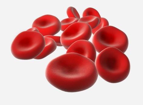 Δυσαρμονία μεταξύ αιματοκρίτη και μάζας ερυθρών αιμοσφαιρίων Είναι προφανές ότι οι παραπάνω τιμές δεν ανταποκρίνονται στην ολική μάζα των ερυθρών αιμοσφαιρίων διότι δεν βρίσκονται σε γραμμική