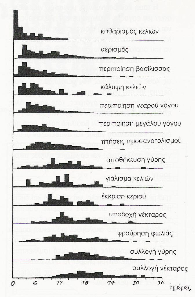 ΚΑΤΑΝΟΜΗ ΕΡΓΑΣΙΩΝ Κάποιες δραστηριότητες
