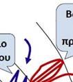 2.2 Υπερχειλιστής, ή εκχειλιστής Η κατασκευή που απομακρύνει με