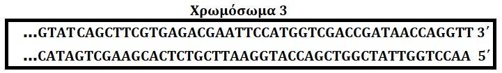 Στο παρακϊτω γενεαλογικό δϋνδρο αναπαριςτώνται τα μϋλη μιασ οικογϋνειασ Α ςτην οπούα υπϊρχει οικογενειακό ιςτορικό μονογονιδιακόσ αςθϋνειασ τα ςυμπτώματα τησ οπούασ εκδηλώνονται μόνο όταν τα αςθενό