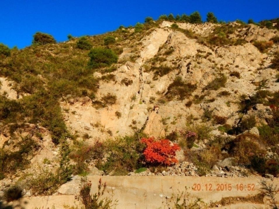 7 Παράρτημα1:Φωτογραφίεςυπαίθρου Κατολισθήσεις του
