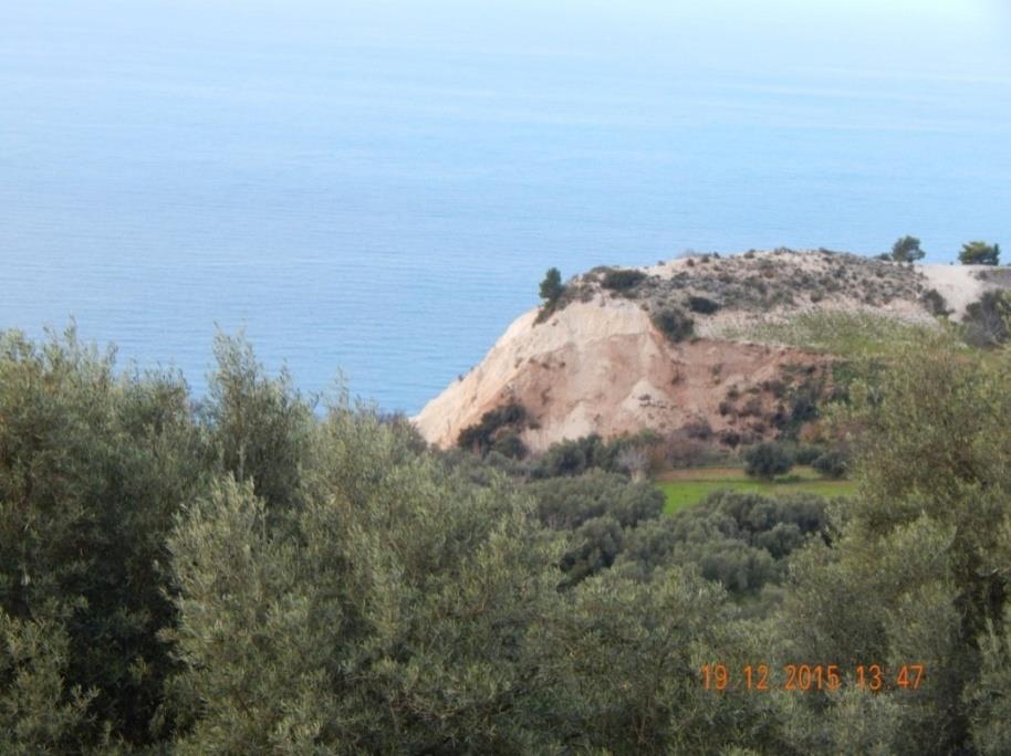 Αθάνι όπου είναι ορατή η επαφή Αν.