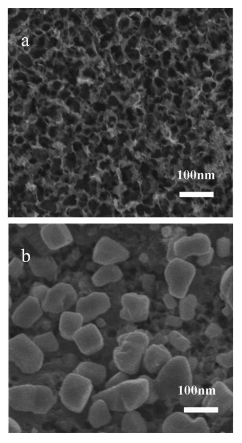 86 2010 2 V /min 40 V 80 nm XRD 30 min nanotio 2 6-8 2 Pb Ti nanotio 2 CH 3 COO 2 Pb Pb OH 2 10 g L - 1 + CH 3 COONH 4 80 g L - 1 9 Pb / nanotio 2 1 3 Pb /nanotio 2 nanotio 2 0 04 cm 2 Pt SCE L- + 1