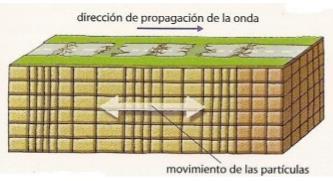 Grazas a rede de sismógrafos, podemos coñecer o lugar ó que chegan as ondas e o tempo que tardan en