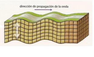 Son as máis rápidas (8 km/s), vibran na mesma dirección na que se propagan, desprázanse por todos os