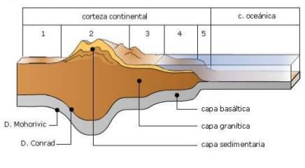 -ESTRUCTURA HORIZONTAL CODIA 1.