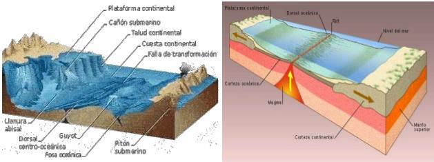 -ESTRUCTURA HORIZONTAL CODIA OCEÁNICA 1.- Chairas abisais: Volcáns submarinos e guiots.