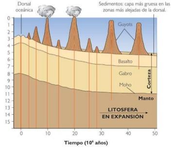 - Dorsais Oceánicas: Grandes elevacións (2.000-3.000 m). Forma de M (rift, só nas dorsais lentas). 65.