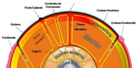 A P fai cos átomos se reorganicen formando novos materiais (olivino, espinela, perovskita, postperovskita) - A descontinuidade de Repetti (800 km) divide o manto en