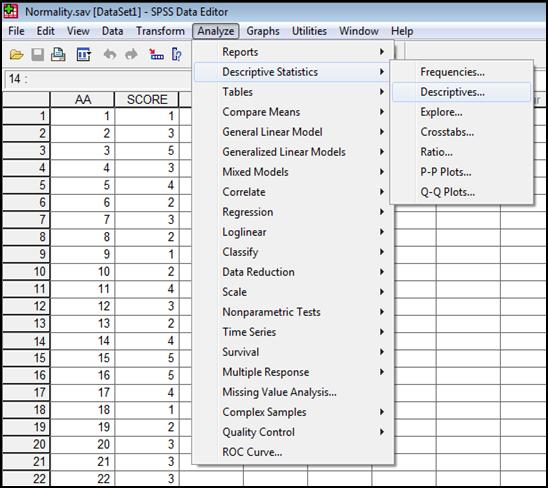 Τυπική Απόκλιση - Standard Deviation Analyze Descriptive Statistics