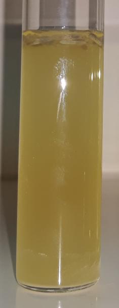 Soy Broth