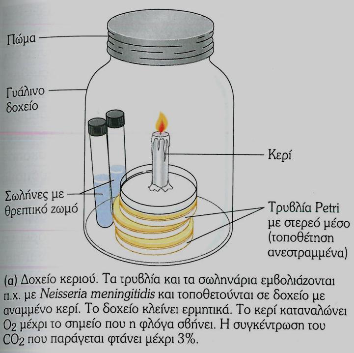5.3.2 Σοκολατόχρωμο Άγαρ Χρησιμοποιήθηκαν έτοιμα στρωμένα τρυβλία 9 cm με σοκολατόχρωμο άγαρ (Chocolate Agar (Horse Blood), Bioprepare ). Το σοκολατόχρωμο άγαρ αποτελεί μη εκλεκτικό θρεπτικό υλικό.